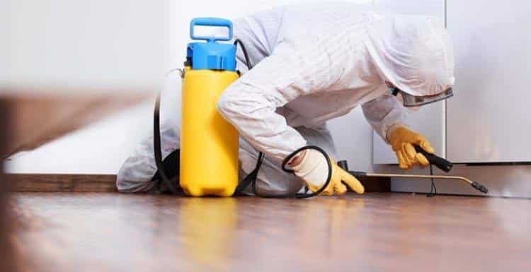 افضل شركة مكافحة حشرات بالرياض