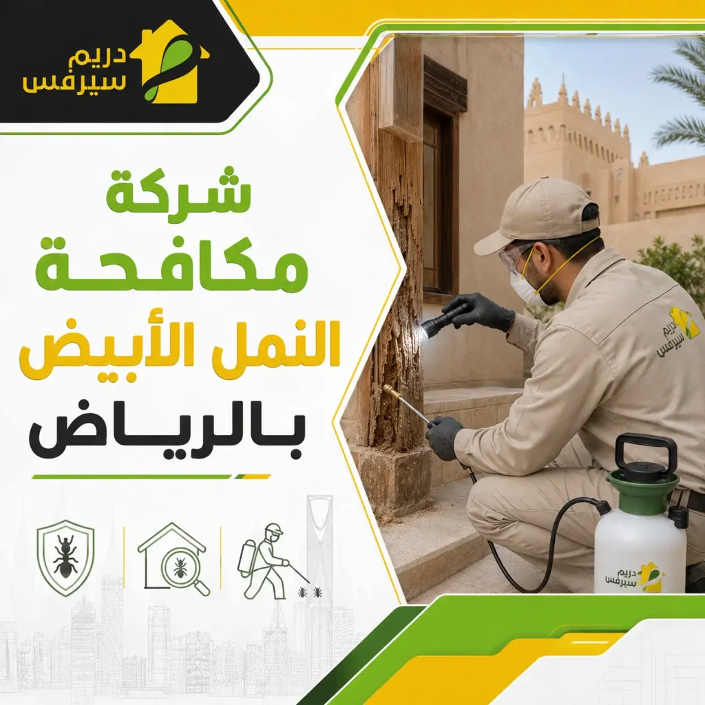 شركة مكافحة النمل الأبيض بالرياض