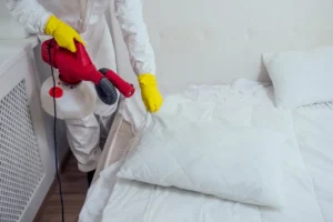شركة مكافحة بق الفراش بالرياض