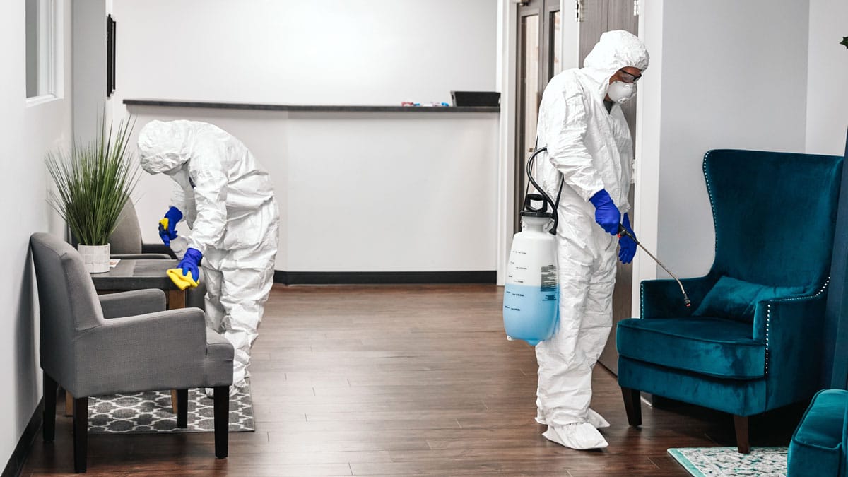 اضرار الصراصير على الانسان