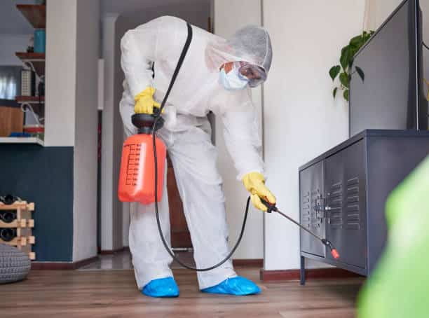 شركة رش مبيدات بجدة